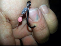 Qui a dit que la pêche était pour les mauviettes ?