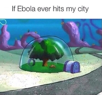 Si Ebola arrive dans votre ville