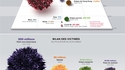 L’histoire des pandémies en infographie