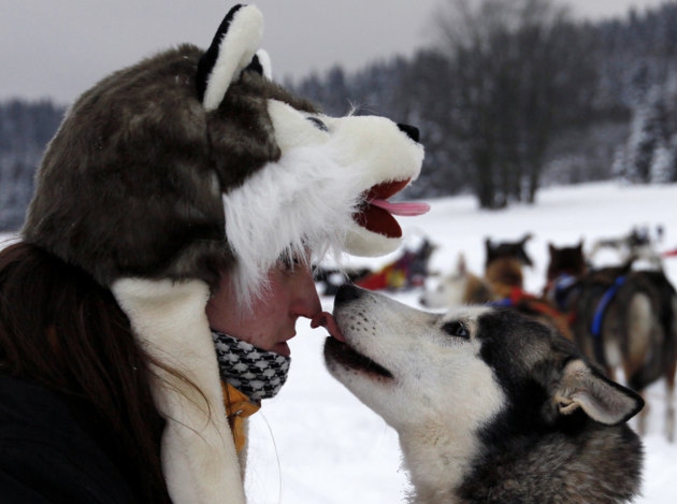 Un musher et son chien lors de la course de Sedivackuv Long à Detsne en République Tchèque. (cliché de Petr Josek pour Reuters)