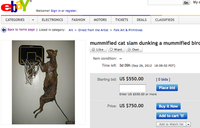 Bon plan eBay