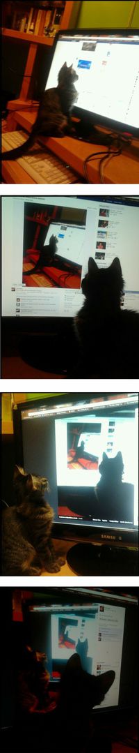 Mise en abyme