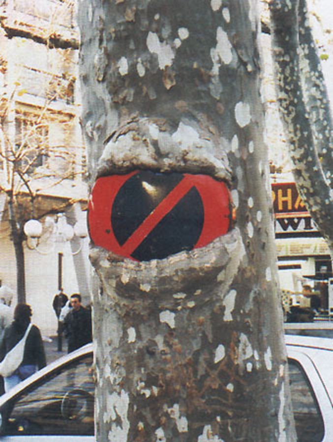 Un panneau de signalisation incrusté dans un arbre