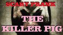 The Killer Pig