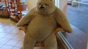 On a retrouvé l'ours Grumly