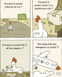 Pourquoi le poulet prend-il l'avion ?