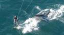 Photo bombing d'un requin blanc