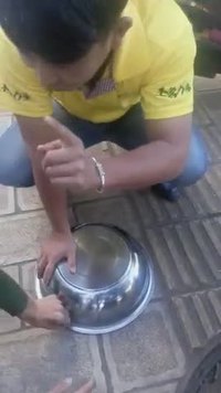 Viens donc, j'ai attrapé un oiseau !