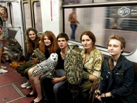 Métro, boulot, hibou