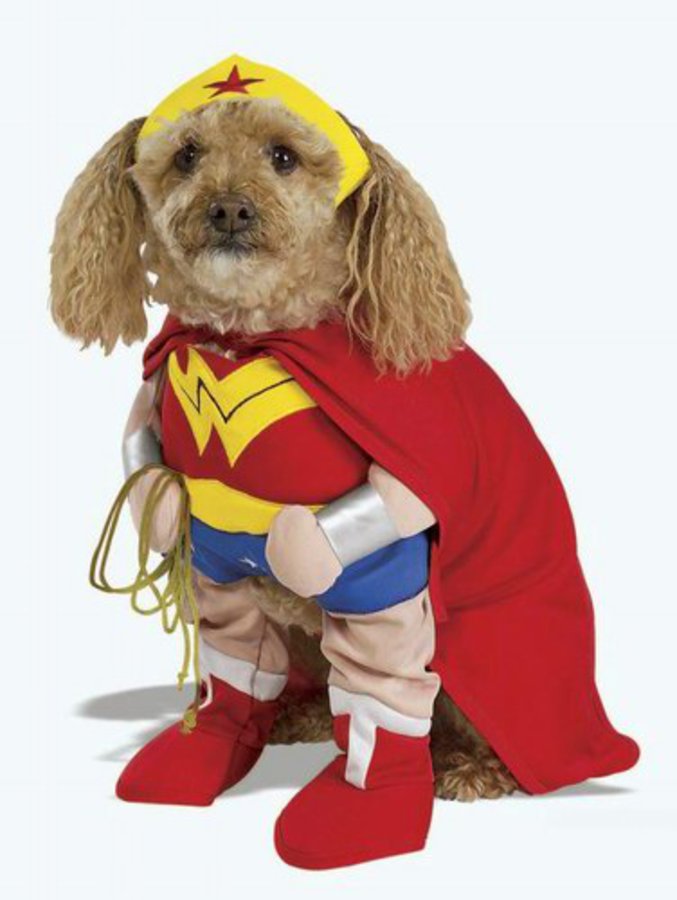 Il est un chien, fort, grand et c'est un super-héros !... C'est Super-Chien !