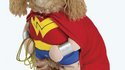 Super-Chien