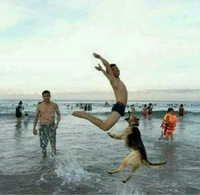 Nooon ! C'est pas un os, c.. de chien !