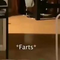 Indiquer sa présence 