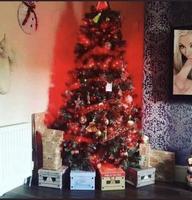 Mon sapin est prêt 