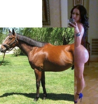 Une culotte de cheval