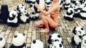 Trouvez le panda 4