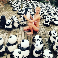Trouvez le panda 4