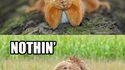 Watcha thinkin about?