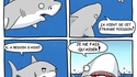 Les requins, ces incompris de la nature !