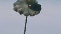 Obus en pleine puissance