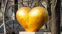 Golden Nuts Award ?