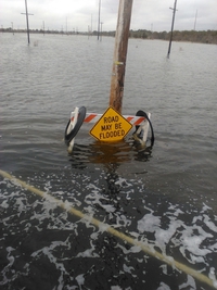 attention : La route peut être submergée
