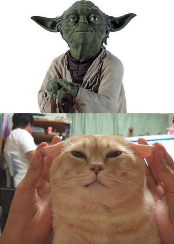 A Yoda tu ressembleras.