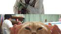 Chat Yoda