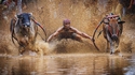 Plus fort que Jean-Claude Van Damme !