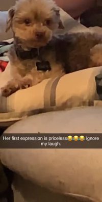 Kan tu fais un mauvais rêve