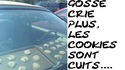 recette canicule...