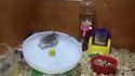 2 hamsters, 1 wheel