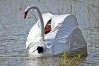 Infiltration d'un paparazzi 
