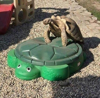 Tortue sexuelle
