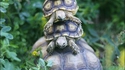 Tortues ninja ou cirque de Pékin.