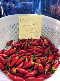 Fraise égyptienne