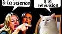 tellement vrai et tellement triste 