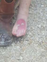 Dr. Zoidberg