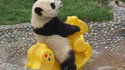 Panda au jardin