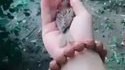 Kan t'as les mains chaudes