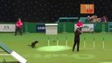 Agility 2
