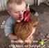 Tu sais pourquoi les poules sont si marrantes 