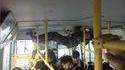 Bus bondé