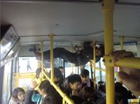 Bus bondé