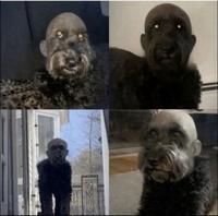 J'ai fait raser la tête de mon chien...