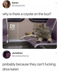 Pourquoi y a un coyote dans le bus ?