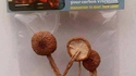 Modifier ses vibrations carboniques