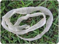 Dites à mon ex qu'elle a laissé quelque chose à elle chez moi...