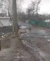 Attends je prends mon poste 