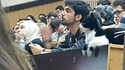 Chat va les cours ? 